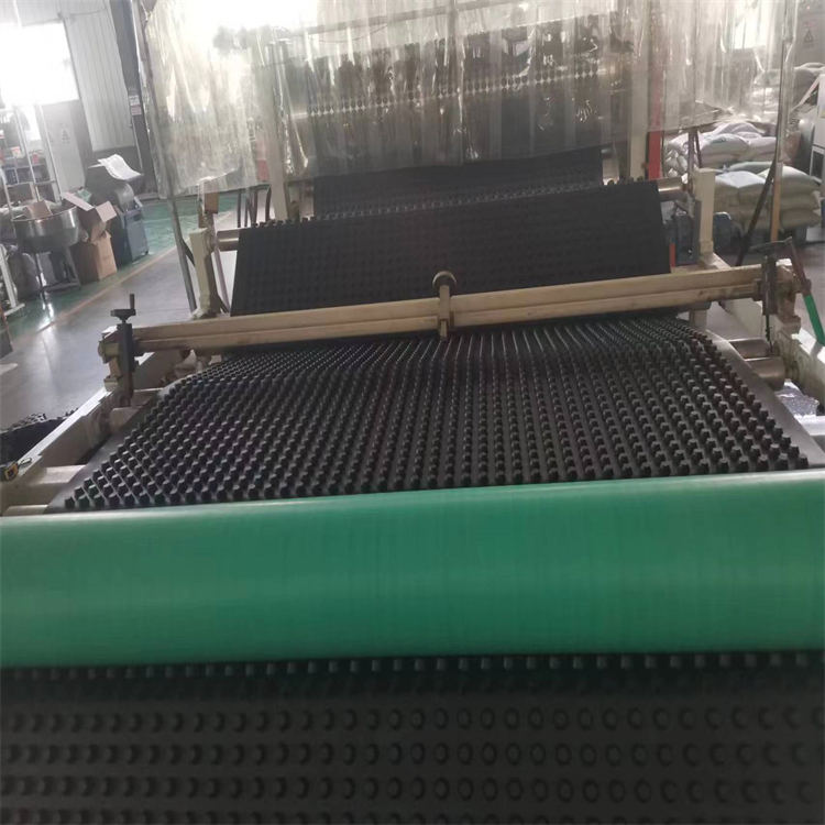 濾水板塑料導(dǎo)水板